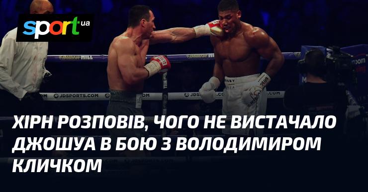 Хірн поділився думками про те, чого не вистачало Джошуа під час зустрічі з Володимиром Кличком.